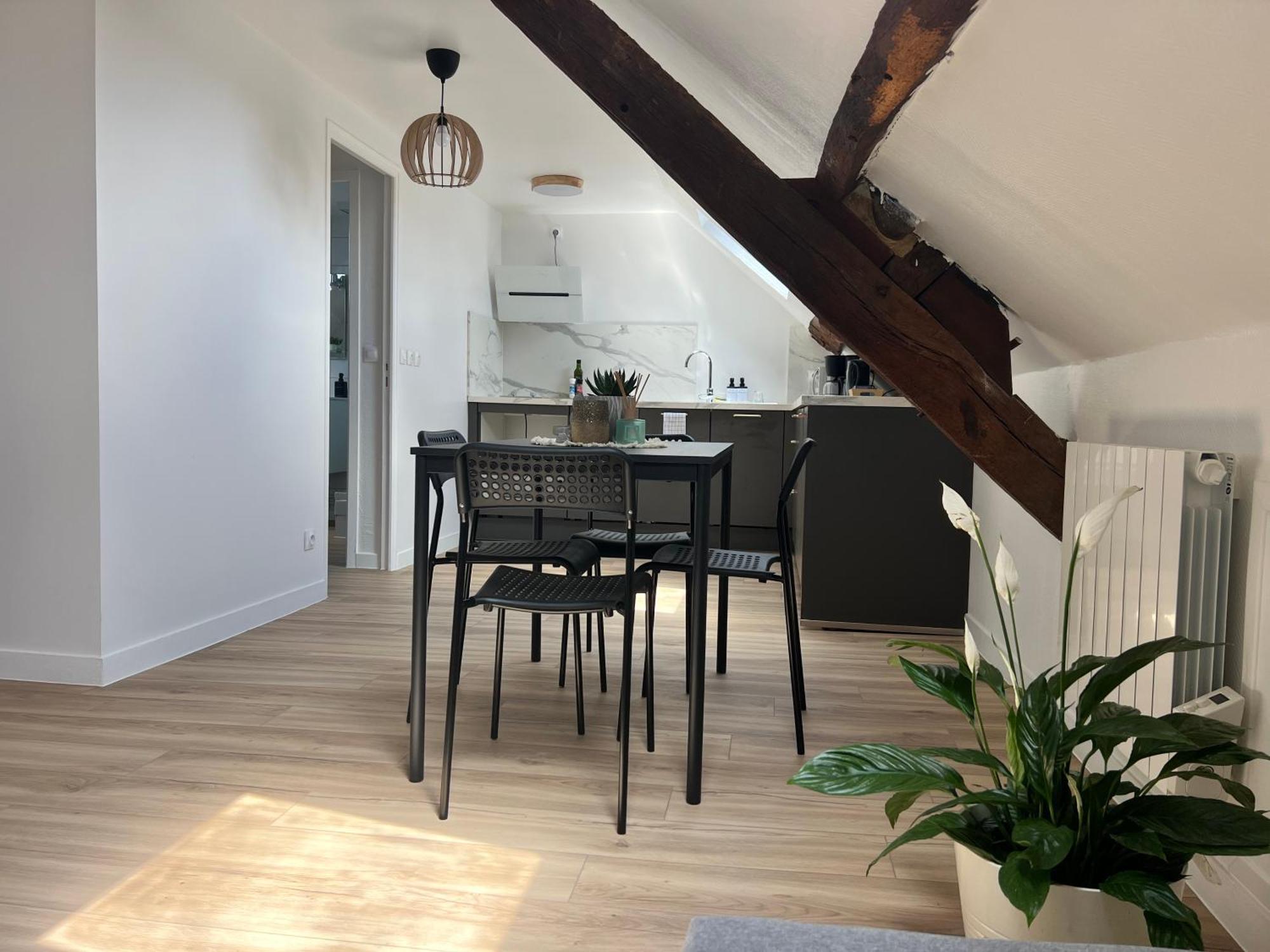 Appart Asterix Cdg Parc Expo Paris Chantilly Apartment Plailly Exterior photo